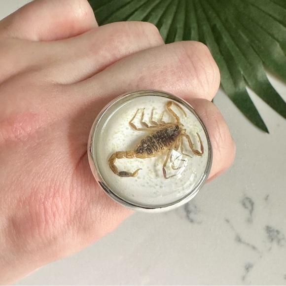 3/$22🩶  Real Resin Scorpion Adjustable Ring Insects Bugs Southwestern Size 9 10 - Picture 1 of 8